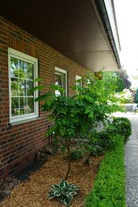 Galeriebild der Unterkunft Niedersachsen Hof in Bispingen