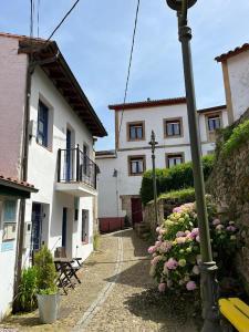 a street with buildings and a street light and flowers at Pexe na mar in Lastres