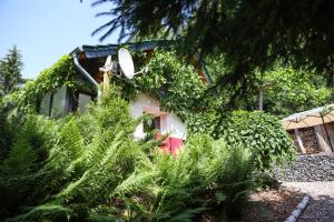 Κήπος έξω από το Idyllisches Ferienhaus am Wald