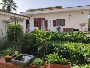 a garden in front of a house at Antoniet in Naples