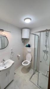 La salle de bains est pourvue de toilettes, d'une douche et d'un lavabo. dans l'établissement T&S ROOM, à Budva