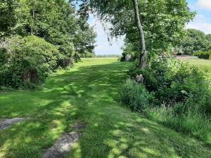 een groen veld met een boom in het midden bij Ferienwohnung Muh - Ostfriesland nähe Nordsee in Rechtsupweg