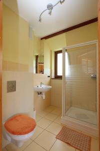 a bathroom with a shower and a toilet and a sink at Apartment 4 in Rewal