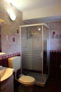 a bathroom with a shower and a toilet and a sink at Apartments Jožetov grič - FARM STAY in Podčetrtek
