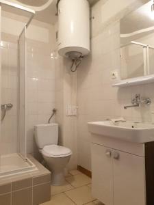 ウェバにあるPokoje Sandra IIの白いバスルーム(トイレ、シンク付)