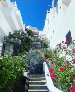 een trap met bloemen en planten bij Hibisco apartments in Puerto de Santiago