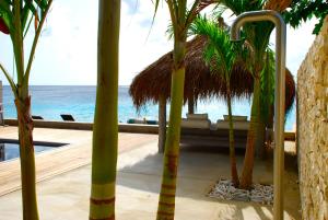 ein Resort mit Blick auf das Meer mit Palmen in der Unterkunft OCEANFRONT VILLA WITH ACCES CARIBBEAN SEA in Kralendijk + 13 Fotos