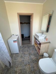 a bathroom with a toilet and a sink and a mirror at Maria Apartment Roomassaare in Kuressaare +13 photos
