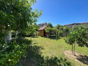 a yard with a house with a hose at Elbasan Backpacker Hostel in Elbasan