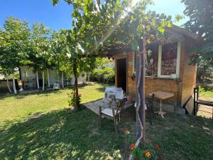 a house with a table and a bench in a yard at Elbasan Backpacker Hostel in Elbasan