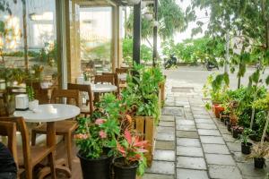 Zahrada ubytování Amber Beach Hotel