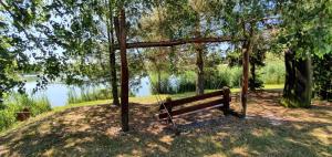 レンティにあるSárberki Horgásztóの湖畔の木の下に座る公園ベンチ
