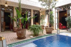 a swimming pool with plants in pots next to a house at Riad Belle Epoque in Marrakesh