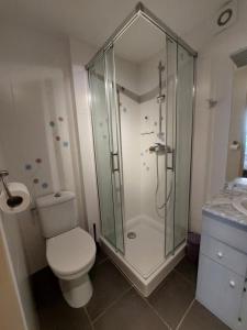 Un baño con ducha, inodoro y lavabo. en La Petite Sentence de Noyers, en Noyers-sur-Serein