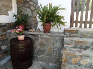 Fotografia z galérie ubytovania Petrino1880 sea-vacation apartment in Chalkidiki v destinácii Agios Nikolaos