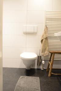 a bathroom with a white toilet and a sink at bb-jonashome in Venlo