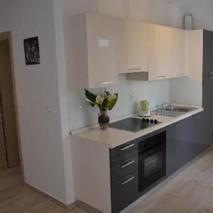 Kuchyň nebo kuchyňský kout v ubytování Apartments Leon