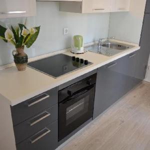 Kuchyň nebo kuchyňský kout v ubytování Apartments Leon
