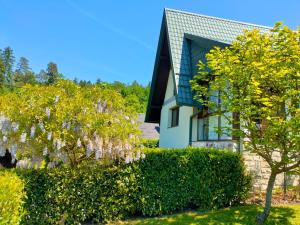 a house with a flowering tree in front of it at Holiday Home Magnolia in Trakošćan