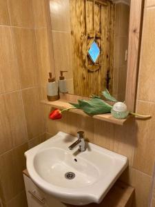 Koupelna v ubytování Jurta Debrecen