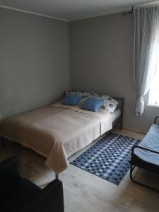 a bedroom with a bed with blue pillows and a rug at Apartament exclusive Głuszyca in Głuszyca