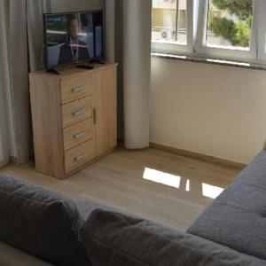 TV a/nebo společenská místnost v ubytování Apartments Leon