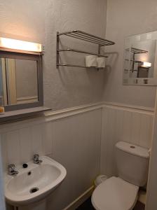 La salle de bains est pourvue de toilettes blanches et d'un lavabo. dans l'établissement Stafford House, à Blackpool