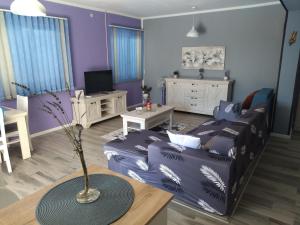 a living room with a couch and a table at Apartments Biondi in Viskovo
