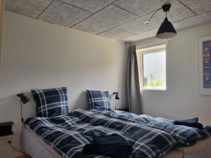 een slaapkamer met een bed met kussens en een raam bij Agermosegaard in Assens