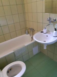 a bathroom with a sink and a toilet and a tub at Lucerna in Hřensko