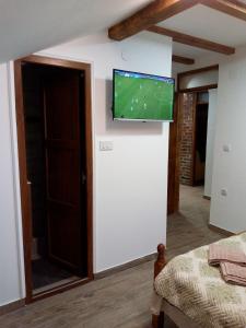 TV a/nebo společenská místnost v ubytování Apartman Konak