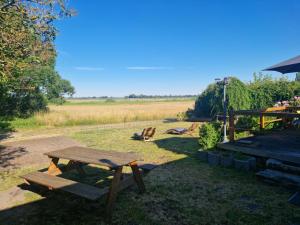 HohenferchesarMobilheim Monika的野餐桌和草地上的长凳