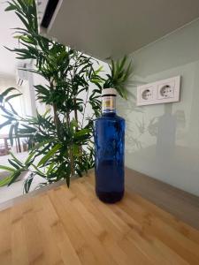 a blue bottle sitting on a wooden floor with a plant at Estudio Aguila3 in Benalmádena
