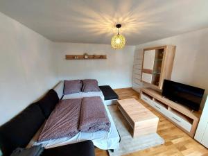 a bedroom with a bed and a flat screen tv at Panoramatický apartmán Tatry in Nová Lesná