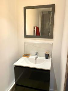 La salle de bains est pourvue d'un lavabo et d'un miroir. dans l'établissement Faubourg des voyageurs n°5, à Saran