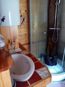 a bathroom with a tub and a shower and a sink at Côté Jardin, Spa privatif 