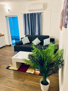 a living room with a black couch and a plant at Apartments Stara Baska in Stara Baška