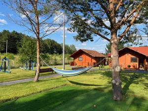a hammock hanging from a tree in a park at Ośrodek u Antosia na Mazurach in Narty