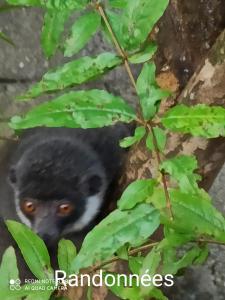 Φωτογραφία από το άλμπουμ του Auberge Maouwa Valley σε Moya +22 φωτογραφίες