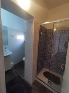 a bathroom with a shower with a sink and a toilet at Apartmani Viktorija in Fažana