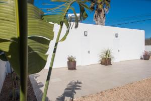 un bâtiment blanc avec des plantes en pot devant lui dans l'établissement CASA ENTERA SA CALETA!!, à San José