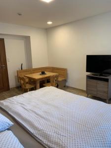 TV in/ali zabaviščno središče v nastanitvi Apartmány Županovice