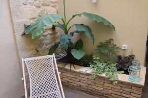 roślina w plantatorze cegieł z roślinami w obiekcie La Barrack Broc w mieście Aimargues