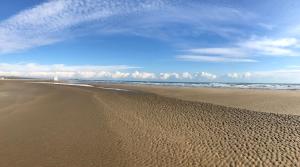 piaszczysta plaża z oceanem w tle w obiekcie Appartement avec vue sur la tour Barberousse w mieście Gruissan