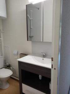 uma casa de banho com um lavatório e um WC em résidence le bois gentil em Auris