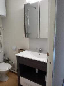 a bathroom with a sink and a toilet at résidence le bois gentil in Auris