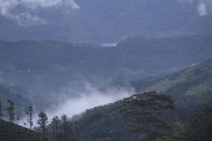 Photo de la galerie de l'établissement Pine Clough Holidays Vagamon, à Vagamon