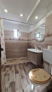 bagno con servizi igienici, lavandino e specchio di Iulia Sulina Deluxe a Sulina