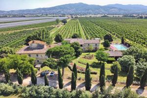 un domaine dans la vallée de la napa avec un vignoble dans l'établissement Foresteria Il Giardino di Fontarronco, à Alberoro