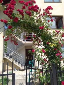 Un mucchio di rose rosse appese a un edificio di Holiday Home Suad a Sarajevo